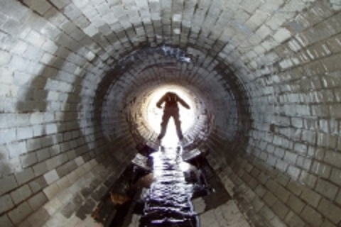 Hmyz a hlodavce doma mít nechceme