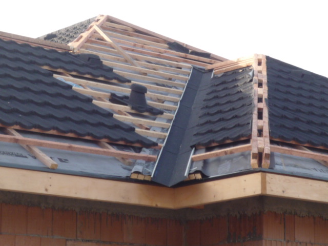 Koruna každého domu