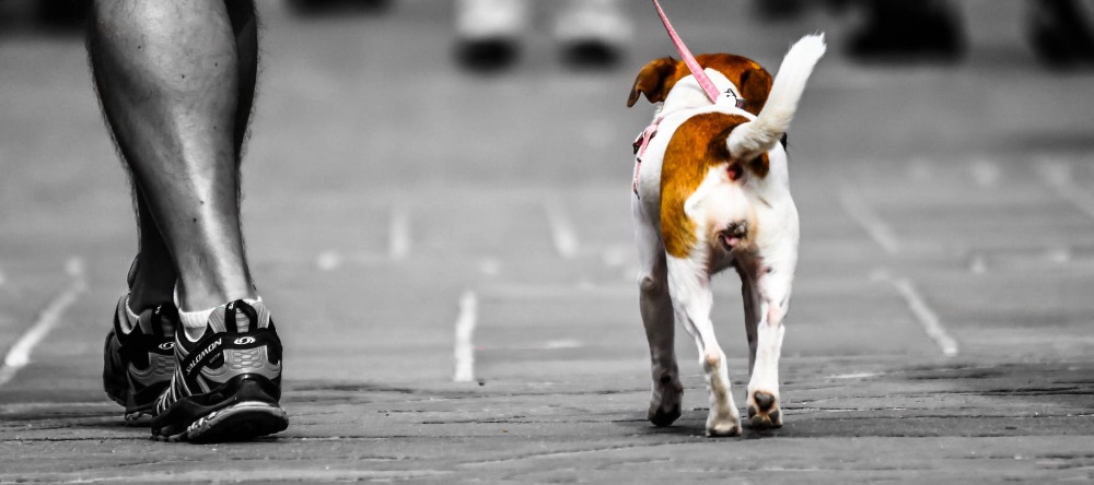 Pokládky chodníků