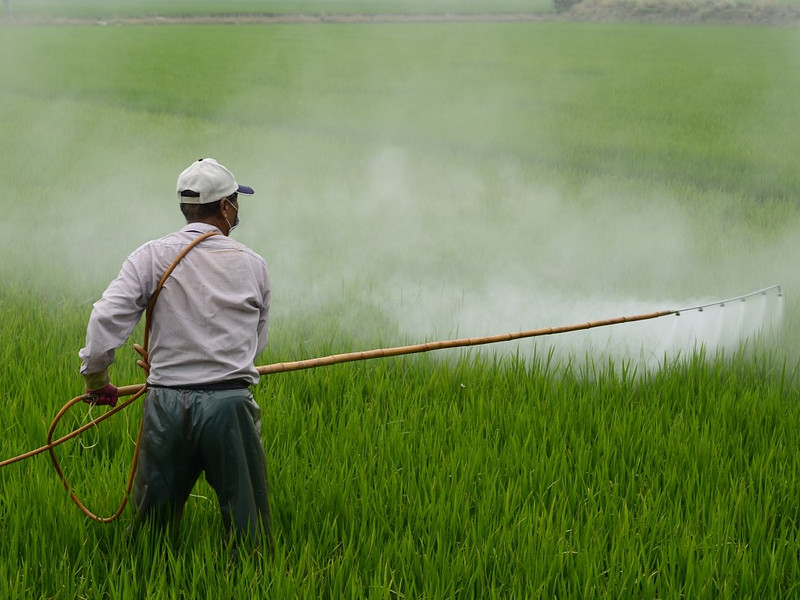 Zahrádkaření se zase vrací do módy