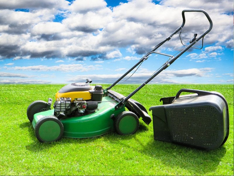 Nepostradatelní pomocníci při péči o zahradu