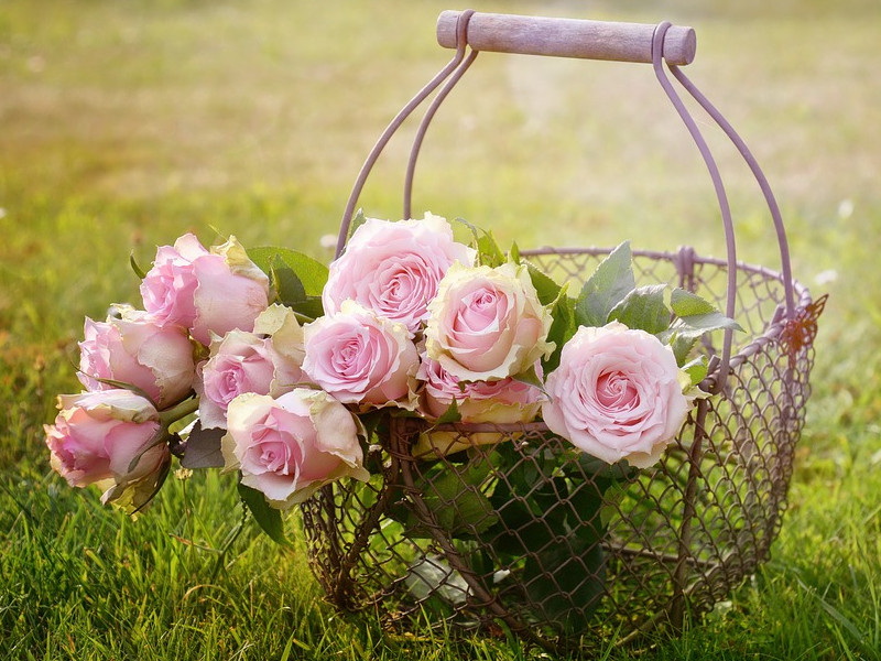 Ozdoba na svatbu i na ples