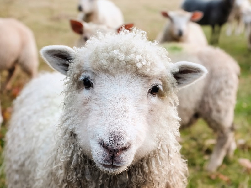 Není dobré soudit jídlo podle obalu