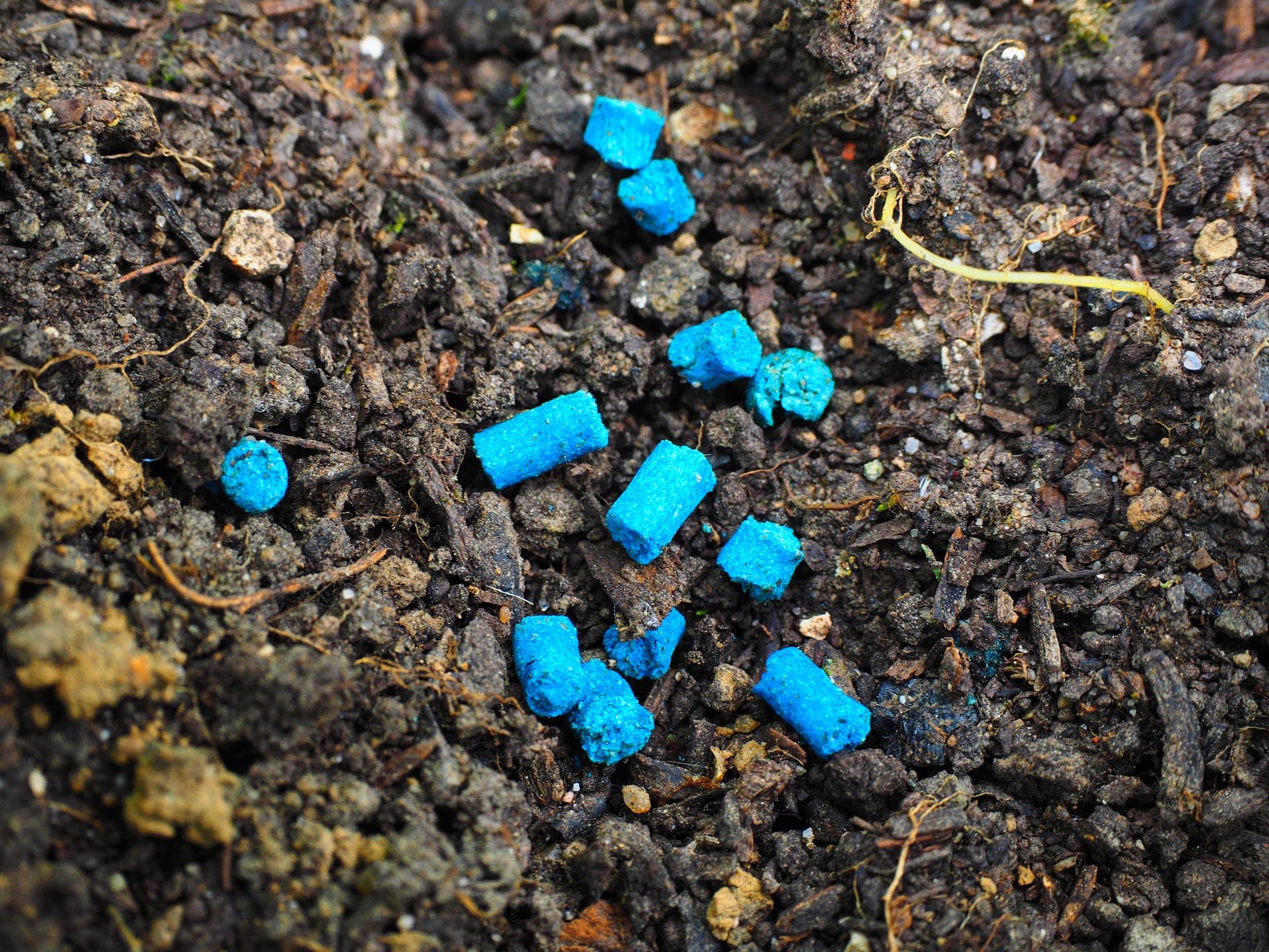 První soukromá rodinná firma v regionu