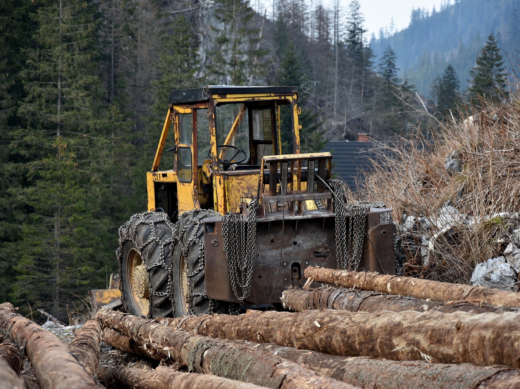 Které stroje se hodí do lesa, a které pomůžou i na polích?
