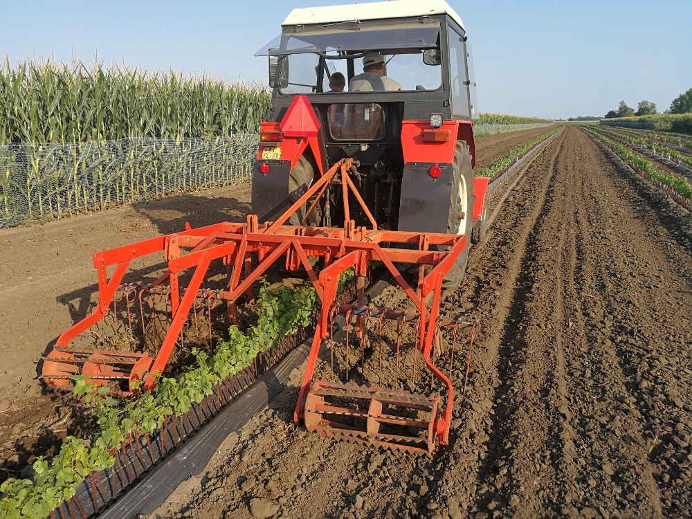 Odborné časopisy jsou součástí celoživotního vzdělávání každého odborníka