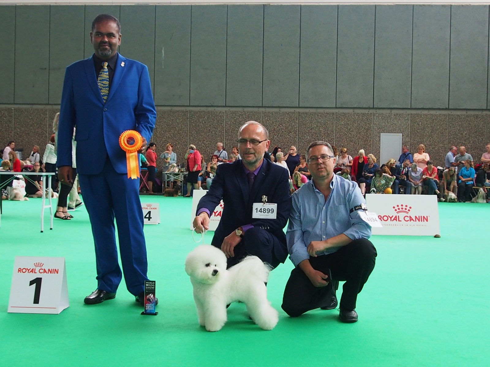 Kynologie a psí sporty: Výcvik, zdraví a zábava